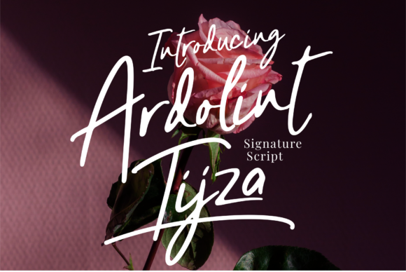Ardolint Tijza Font for Web Design