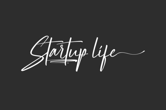 Startup Life Font Review