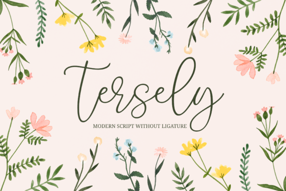Tersely: A Modern Script Font for Web Design
